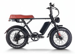 CEMOTO EB66 | 750W double battery Harley-Like Hi-Tech Ebike