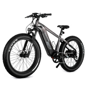 eBike Boys 52V 750W Adult eBike - 17AH Battery, Top Speed 32km/h