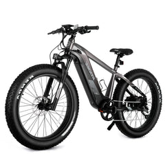 eBike Boys 52V 750W Adult eBike - 17AH Battery, Top Speed 32km/h