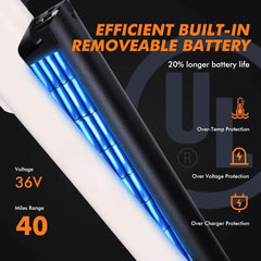 eBike Boys 750W Electric Bike - Step-Through Frame, 36V Battery