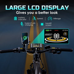eBike Boys 52V 750W Adult eBike - 17AH Battery, Top Speed 32km/h